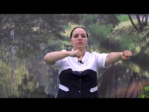 Видео: Кардиокомплекс 3, поздний п/о период с 10 по 12 месяц