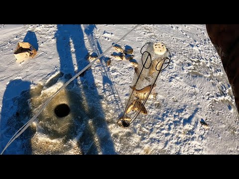 Видео: ТОЛЬКО ОПУСТИЛ ХАПУГУ И ПОПЛАВОК ЗАПЛЯСАЛ! КАРАСЁВОЕ ЭЛЬДОРАДО НА КАЖДОМ ПОДЪЁМЕ. Рыбалка на ХАПУГУ