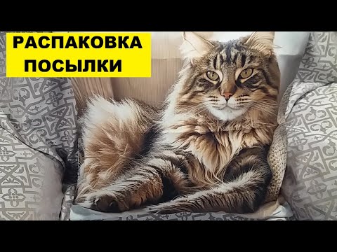 Видео: РАСПАКОВКА ПОСЫЛКИ С TEMU..ВСЁ НРАВИТСЯ!
