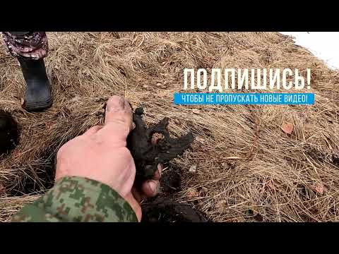 Видео: ОТКРЫТИЕ СЕЗОНА МНОГО ИНТЕРЕСНЫХ НАХОДОК