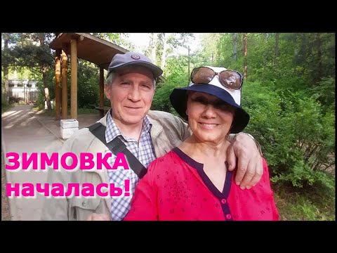 Видео: На зимовку к тёплому морю! Как отбрить мошенников и ехать в "люксе" по обычному билету