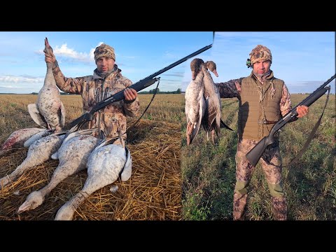 Видео: Первые гуси с МР 153 !!! Доволен ??? Как не оглохнуть на охоте ???
