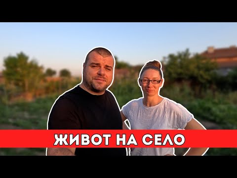 Видео: Как ни се отразява селския живот | Milchevi BG