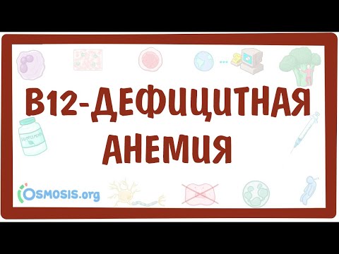 Видео: B12-дефицитная анемия (мегалобластная анемия) — причины, симптомы, патогенез, диагностика, лечение