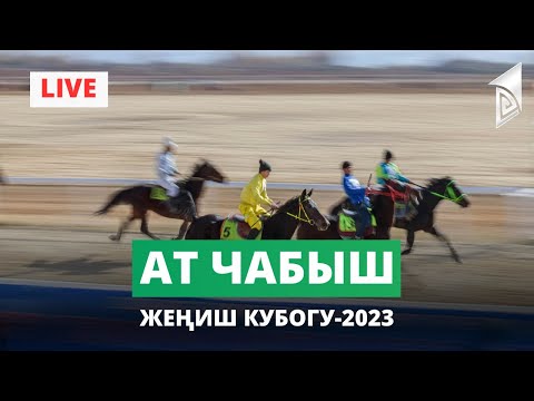 Видео: Ат чабыш / Жеңиш кубогу-2023