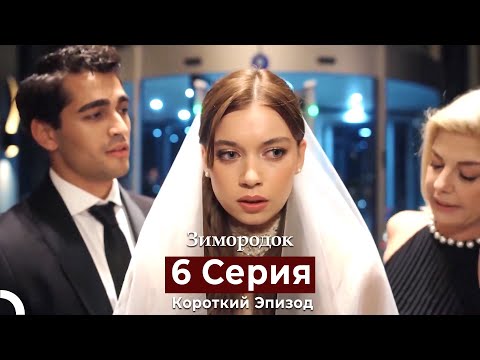 Видео: Зимородок 6 Cерия (Короткий Эпизод) (Русский дубляж)