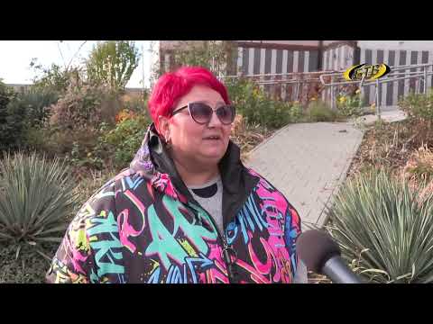 Видео: Новый облик двора