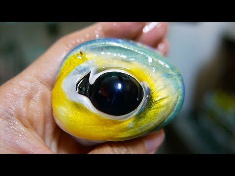 Видео: Японская уличная еда - каракатица чернила макароны шампуры Окинава Япония