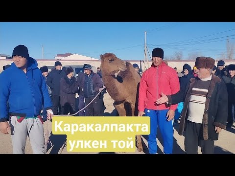 Видео: КАРАКАЛПАКТА УЛКЕН ТОЙ МИЙИРБЕК ПАЛУАН ЗАХРИДДИН ПАЛУАН ЕРГАШ ПАЛУАН АЗАТ ПАЛУАН 1-БОЛИМ