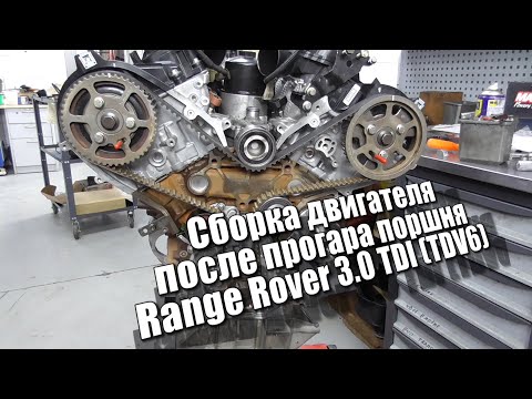 Видео: Сборка двигателя Range Rover 3.0 TDI (TDV6) - после прогара поршня