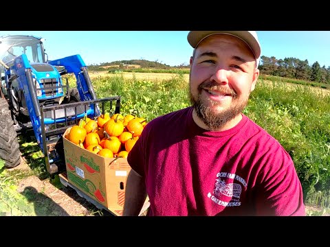 Видео: Сторона осеннего урожая, которую вы никогда не увидите