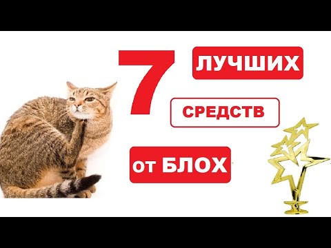 Видео: Самые лучшие капли от блох и клещей для кошек и котов