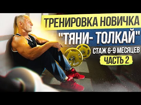 Видео: Тренировка новичка "Тяни-Толкай". Стаж 6-9 месяцев. Часть 2.