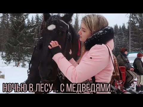 Видео: VLOG ПЕРЕЕЗЖАЕМ🧳Оказались НОЧЬЮ ОДНИ В ЛЕСУ🌘🌲 ОЧЕНЬ СТРАШНО😥