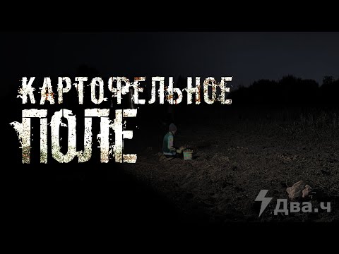 Видео: Картофельное поле || Страшные истории на ночь.Страшилки на ночь. Истории с двача 2ch