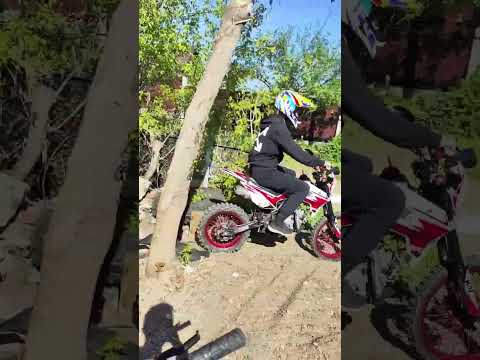 Видео: эндуро на легке#тренировка #enduro #кайо140 #покатушки #питбайк #