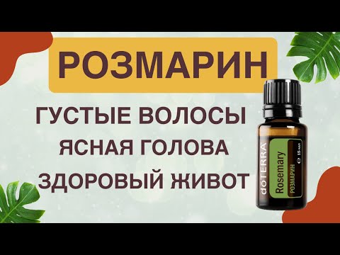 Видео: Розмарин! Всего 1 капля улучшит память и рост волос! Эфирное масло розмарина