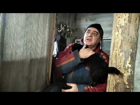 Видео: не стандартная система охлаждения на таврии