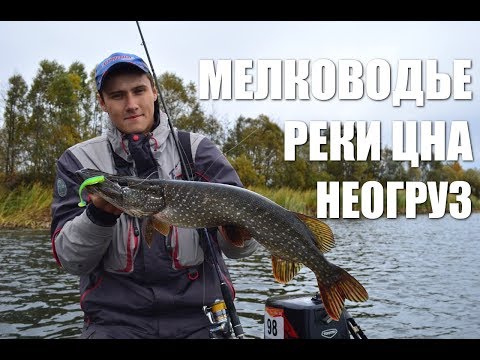 Видео: Щука. Лучшая приманка для осеннего мелководья. Река Цна.
