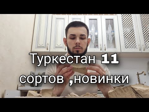 Видео: Все виды Туркестан | Новинки | Кудряшка | Шоколад | Пористый | Жёлтый | Глины | Меловой