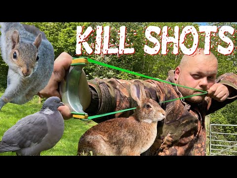 Видео: Охота с катапультой / борьба с вредителями: голуби, кролики, белки