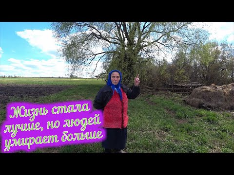 Видео: Деревня м. Авдеевка / Жизнь в деревне / Заброшенные деревни Орловская область