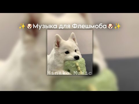 Видео: ✨🐶Музыка для Флешмоба🐶✨