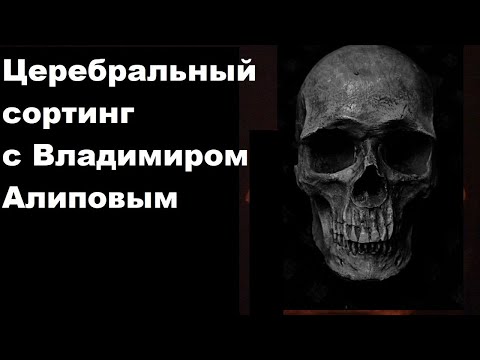 Видео: Церебральный сортинг с Владимиром Алиповым