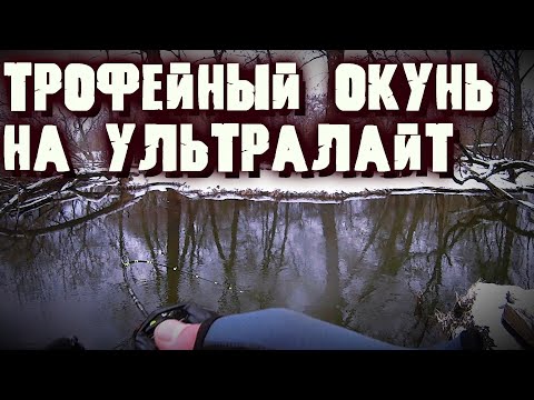 Видео: Пошел за голавлём, а влетел он | Трофейный окунь | Ультралайт кастинг