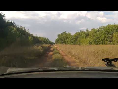 Видео: Заброшенные деревни. Николаевка, Канцеревка. Оренбургская обл.