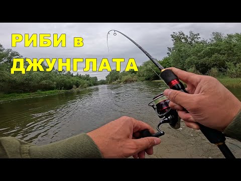 Видео: РИБОЛОВ в ДИВИТЕ ПОТОЦИ на РЕКАТА - УНИКАЛНА ПРИРОДА и ЛУДИ РИБИ дърпат ЯКО АВАНСИ