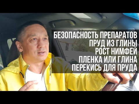 Видео: Ответы на вопросы. Очистка пруда. Пруд из глины. Нимфеи. Препараты.