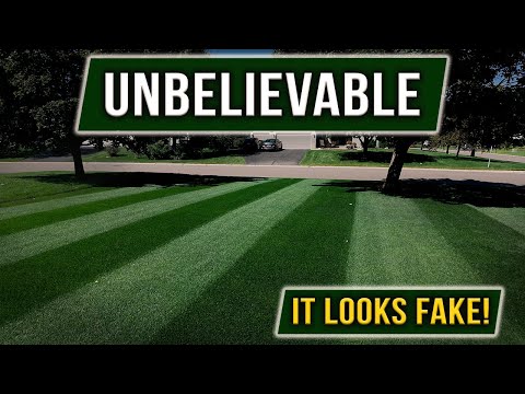 Видео: Стрижка года 😮