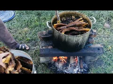 Видео: Один из Простых способов перетопки  старой  суши.