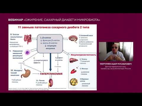 Видео: Ожирение, сахарный диабет и микробиота кишечника
