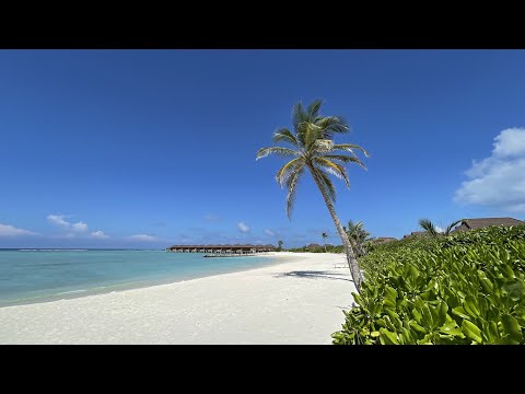 Видео: Maldives 2021 VARU by atmosphere 6 дней в раю