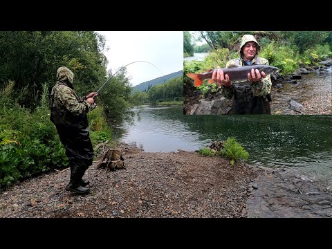 Видео: ТАЙМЕНЬ схватил Верховую МУХУ!/Легкая СНАСТЬ/Рыбалочка удалась-Царя припарковал!