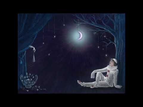 Видео: Никита Поздняков - Серенада Пьеро