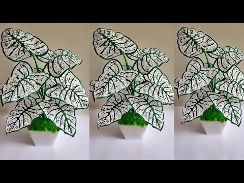 Видео: Как сделать растения Caladium Bicolor из полиэтиленового пакета | Цветочные поделки