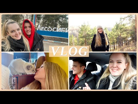 Видео: ☀️ КАЗАЧИНСКОЕ | МИНИ ПУТЕШЕСТВИЕ 🚘