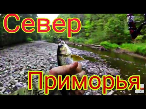 Видео: РЫБАЛКА НА ХАРИУСА И ЛЕНКА НА МАЛЫХ РЕКАХ НА СЕВЕРЕ ПРИМОРЬЯ
