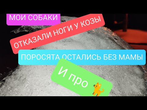 Видео: ЧП не случается у тех, кто ничем не занимаемся.