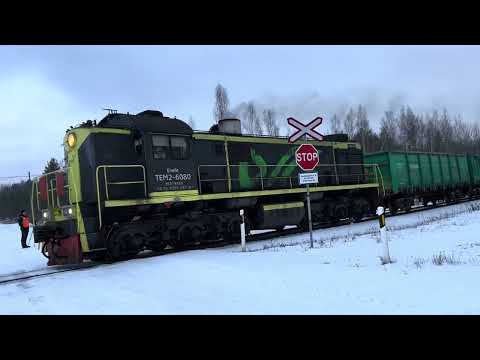 Видео: TEM2-6080 with oil shale near Viivikonna st./ ТЭМ2-6080 с горючим сланцем близ ст. Вийвиконна