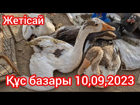 Видео: Жетісай қаласы ҚҰС БАЗАРЫ.10,09,2023