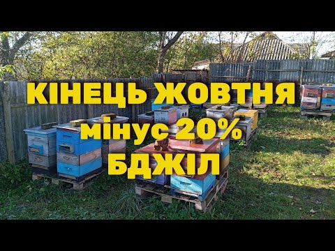 Видео: Веселий сезон 2025
