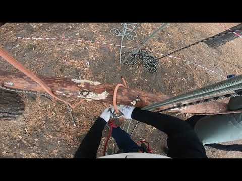 Видео: #спортивныйтуризм Спортивный туризм соревнования 2 узла прошли через карабин, упал на паралельных