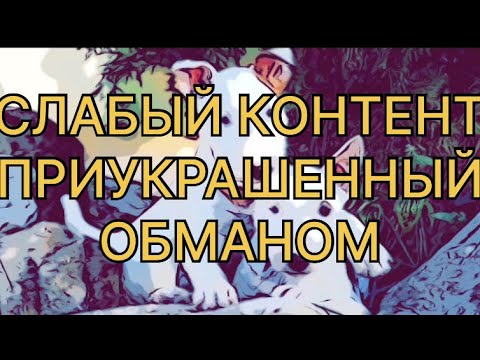 Видео: АРТЁМ СВЕТА ЧЕРНЕГИ РАДИ ЧЕГО ОБМАН? #СамвелАдамян #saveliyad #ГрандеНико #ЧернегаСветаАртём