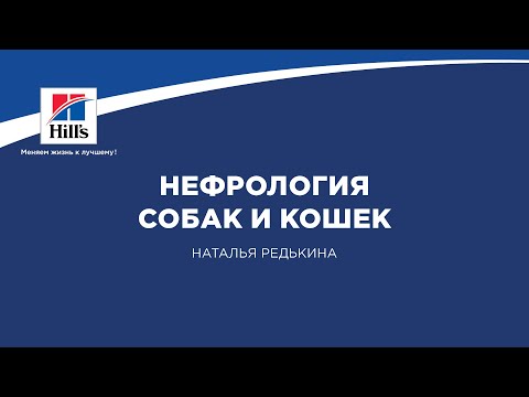 Видео: Вебинар на тему: "Нефрология собак и кошек". Лектор - Наталья Редькина.