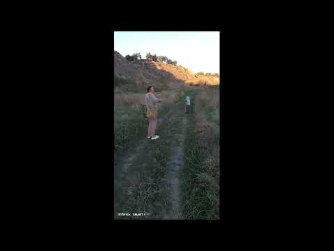 Видео: Дорога к дому.