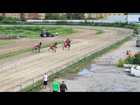 Видео: 21 июля 2024 г.